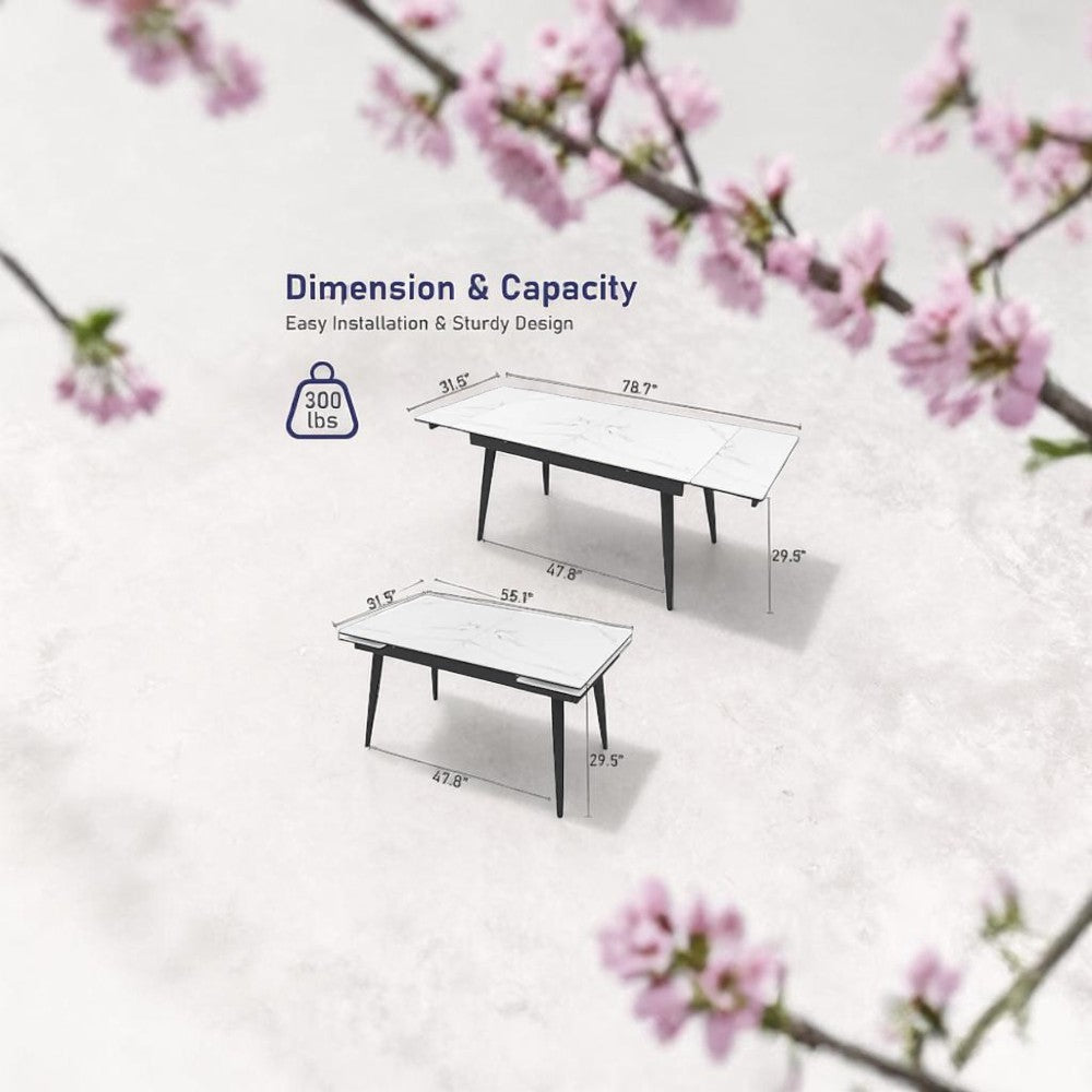Lioro Extendable Dining Table